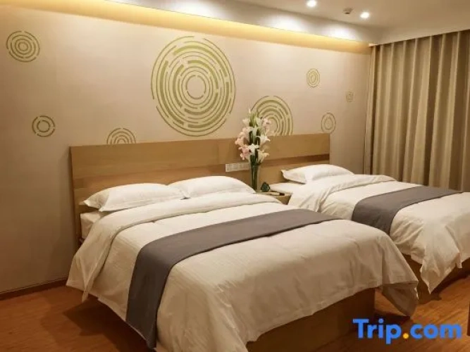 Twin Suite