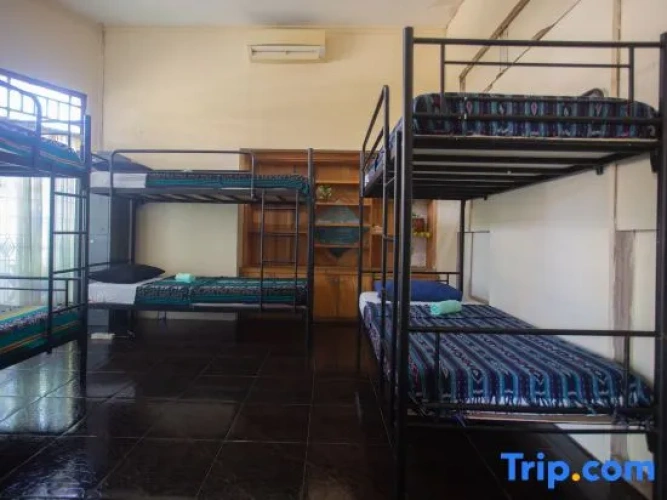 Bed in Dorm