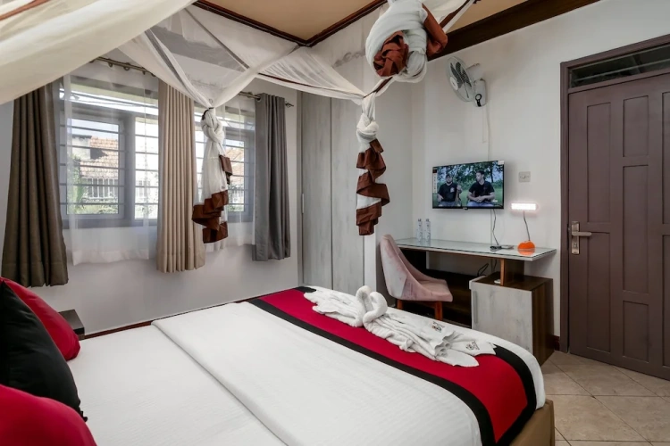 Standard Single room beachfront