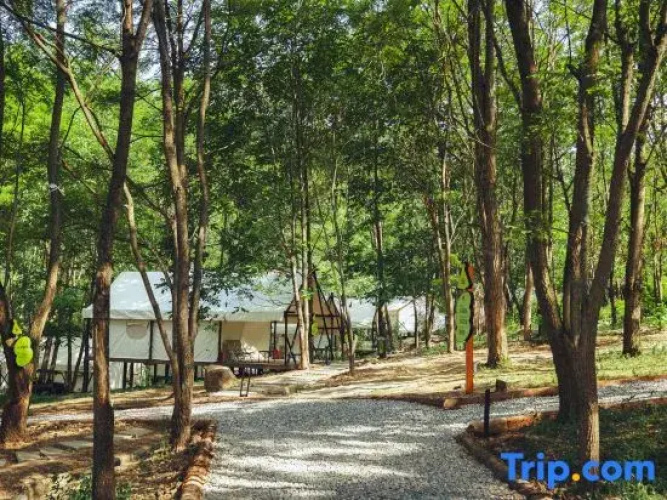 Qiongqia Firefly Forest Camping Hotel