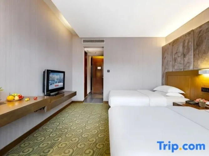 Business Twin room