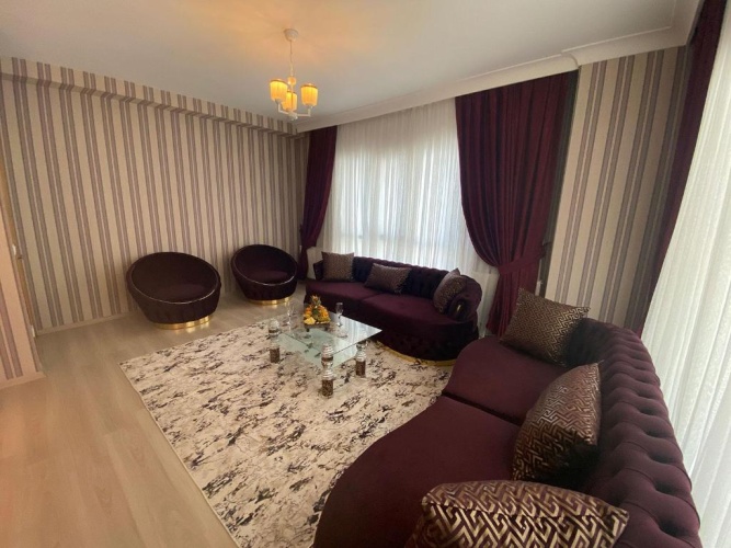 1 Bedroom Single Suite