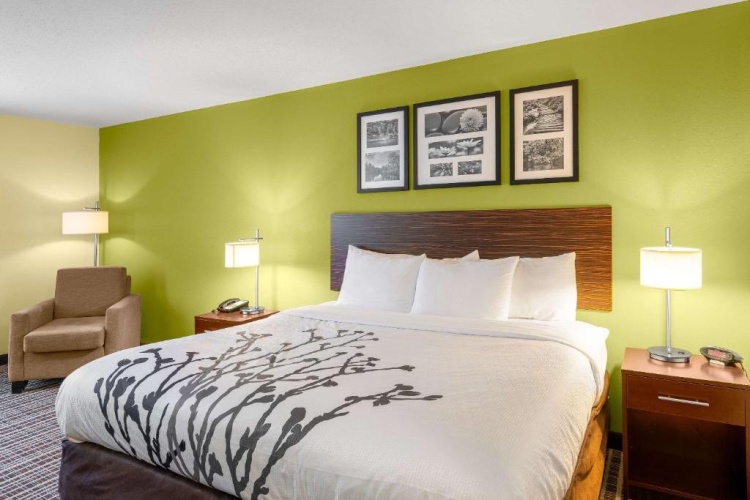 Standard room