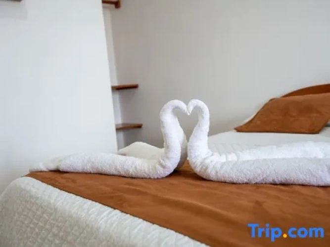 Standard Double room with balcony and with view