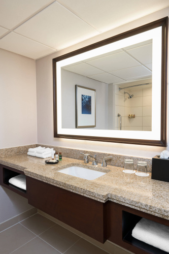 Sheraton Memphis Downtown Hotel photo 10