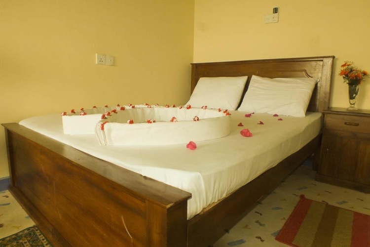 Standard Double room with mountain view