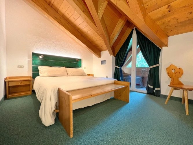 Standard Double room with mountain view