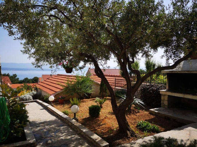 1 Bedroom Apartment with sea view