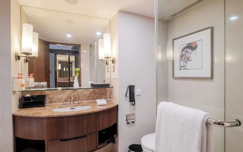 Premium Double room with balcony