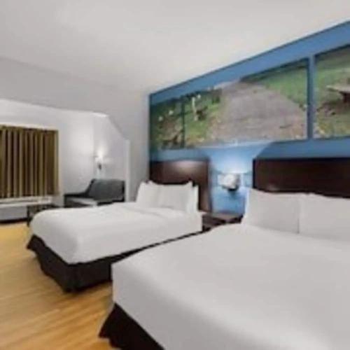 Quadruple Suite