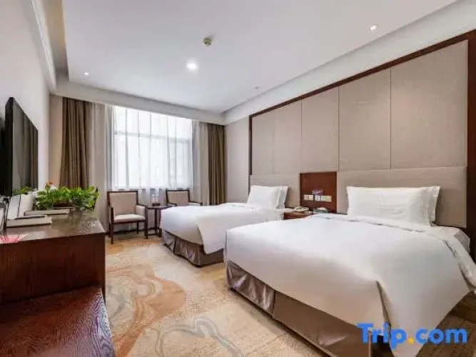 Business Twin room