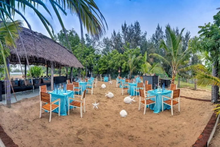 Zest Big Beach