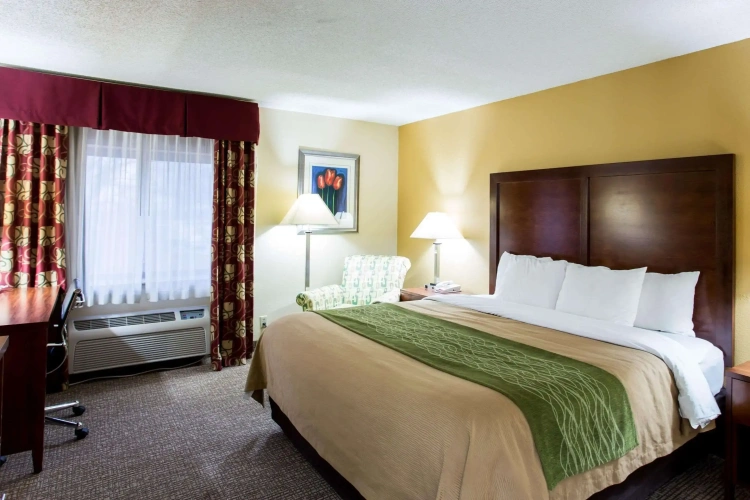 Standard Double room