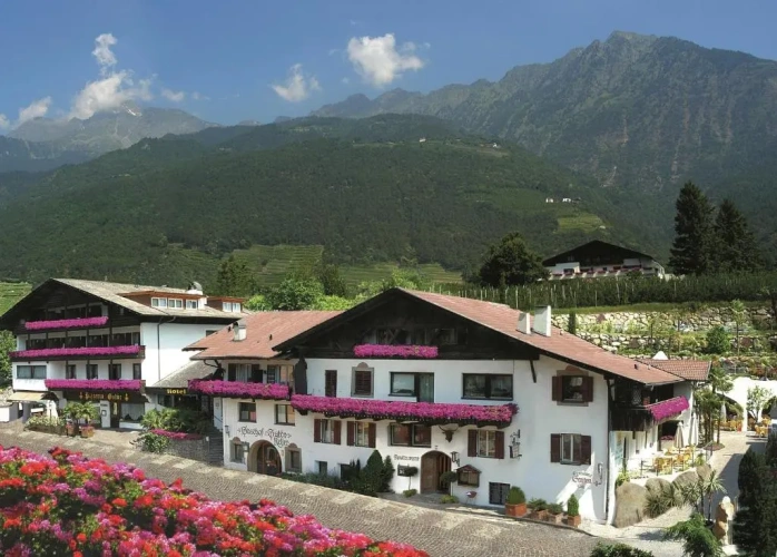 Standard Double room with balcony and with view