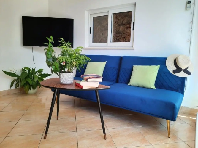 1 Bedroom Standard Apartment with sea view