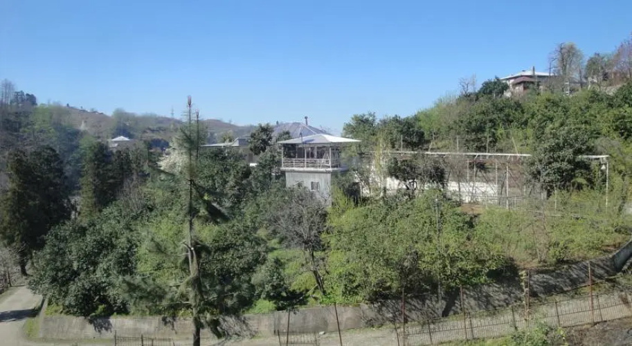 Country House Mamuka