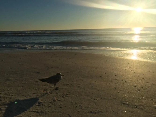 Beach