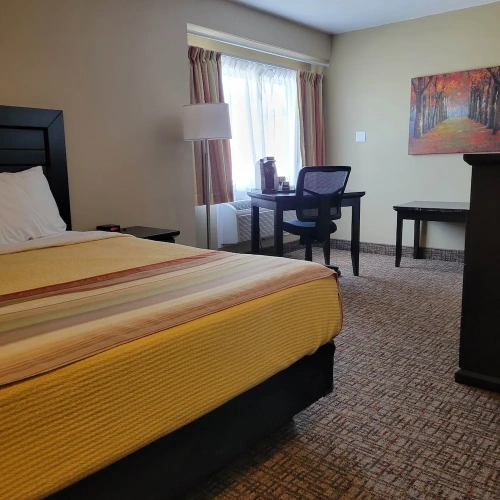 Business Suite