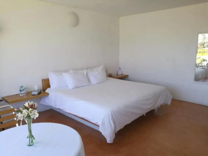 Standard Double room with pool view