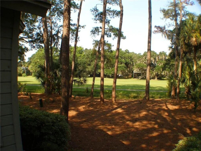 Shelter Cove 896