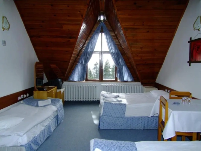 Standard Family room