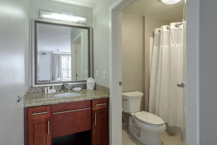 1 Bedroom Suite