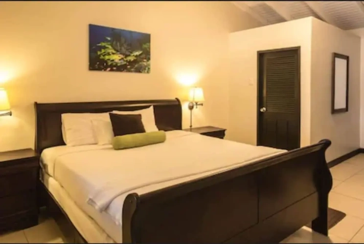 Standard Double room with balcony and beachfront