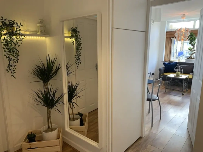 1 Bedroom Apartment