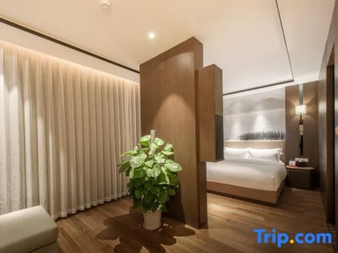 Comfort Double Suite