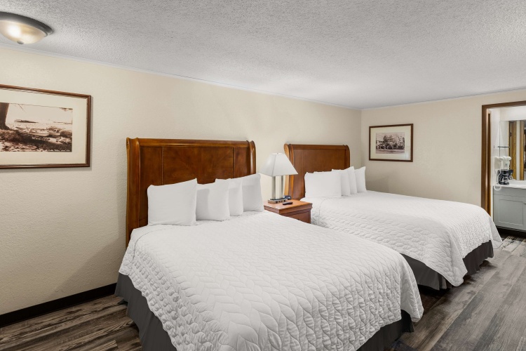 Standard Double room with view