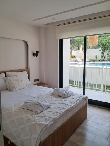 Standard Double room with balcony and with pool view