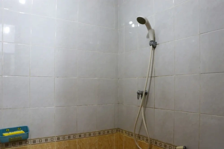 3 Bedrooms Sextuple Apartment
