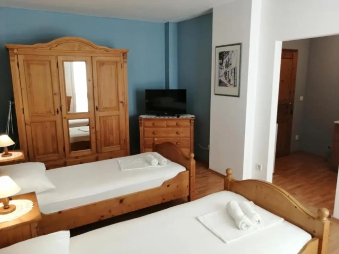 Standard Double room with garden view