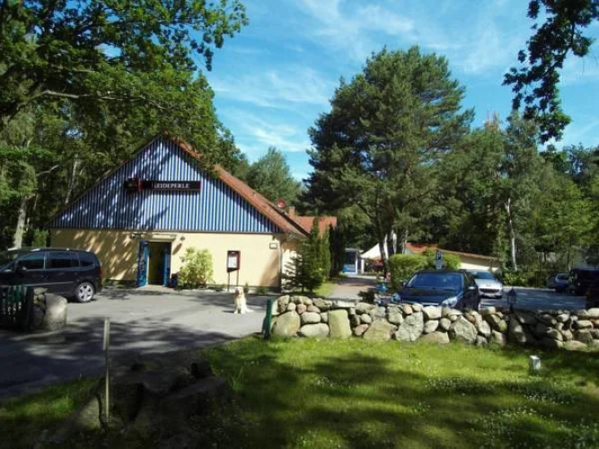 Heideperle