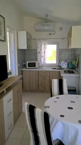 Apartment Kamelija