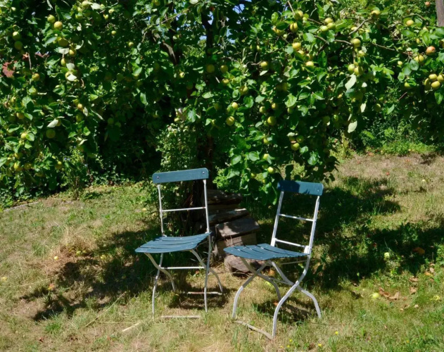 Sommer 81 - bed & breakfast