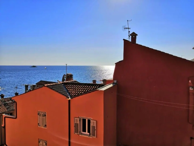 Deluxe Studio with view