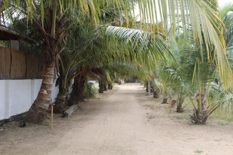 Deens cabanas