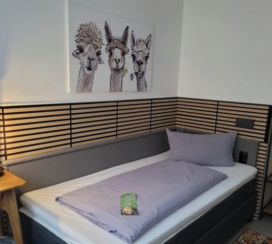 Economy Single room