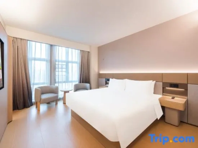 1 Bedroom Suite