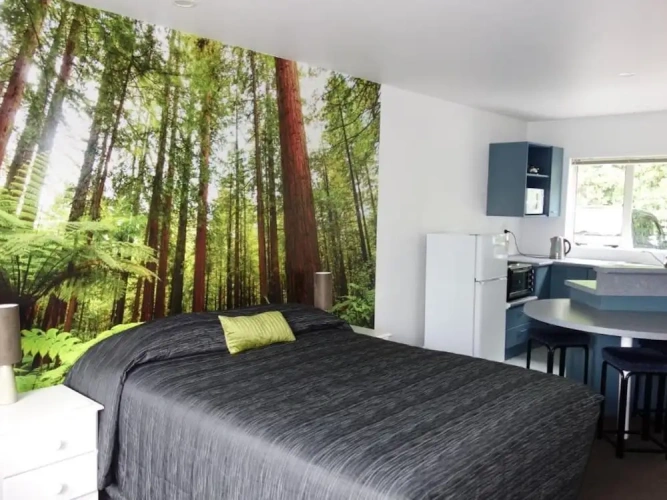 1 Bedroom Standard Double room