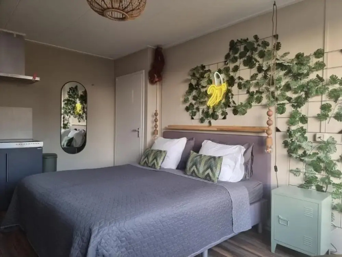 The Jungle Loft