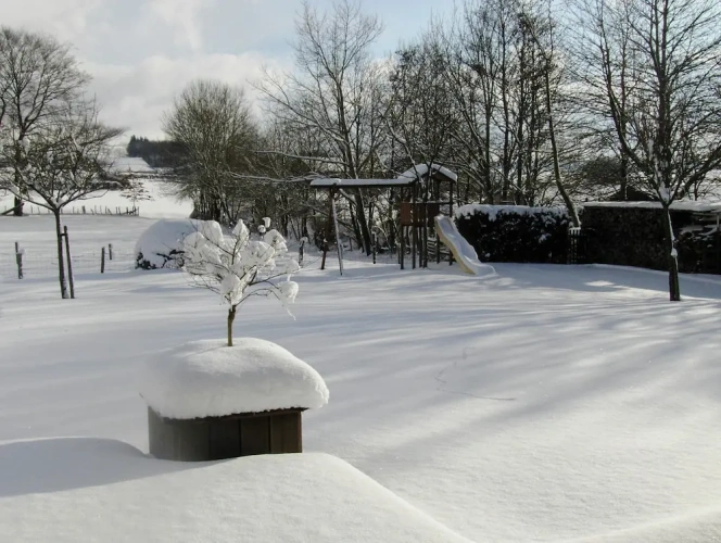 Cottage