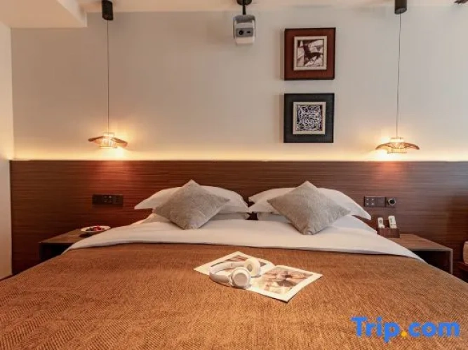 Standard Double room with courtyard view