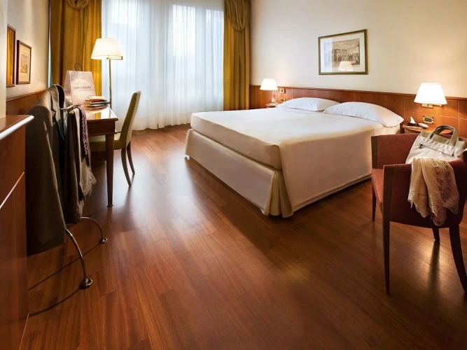 Classic Hypoallergenic Double room
