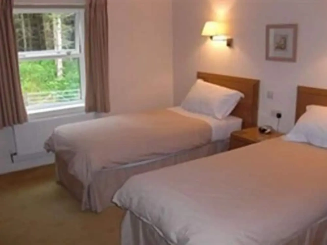 Executive Twin room