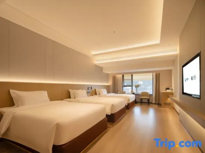 Superior Double room with city view