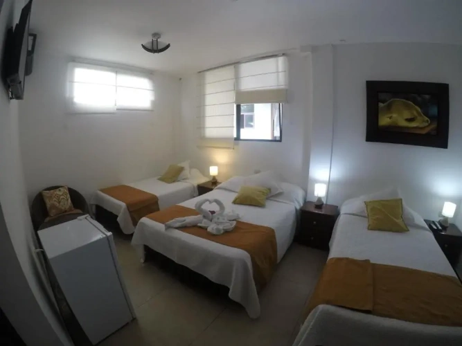 Standard Twin room with view
