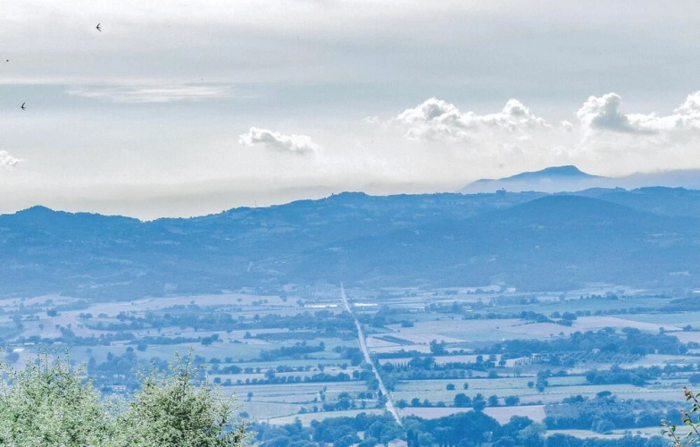 Il Pomo
