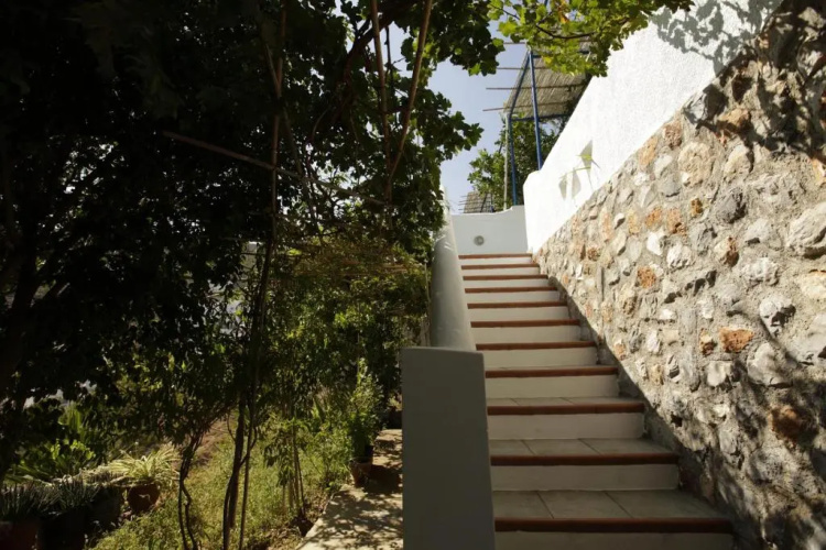 Butterfly View House